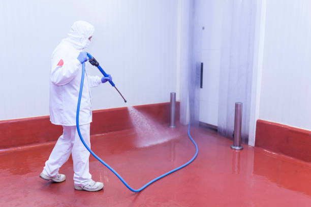 Best Graffiti Removal  in Bangs, TX