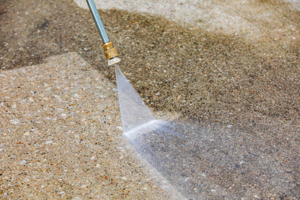 Best Roof Washing  in Bangs, TX