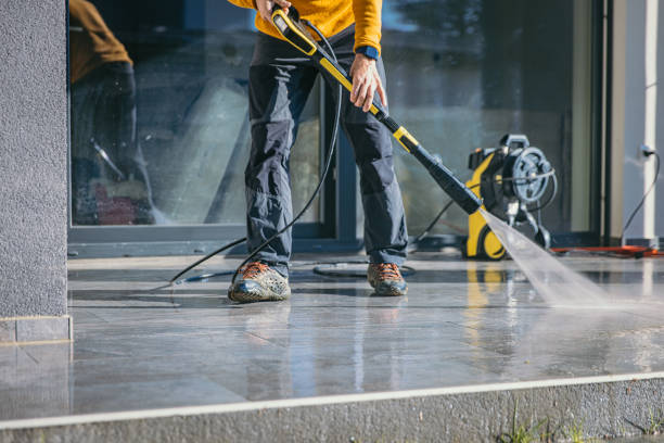 Best Solar Panel Cleaning  in Bangs, TX